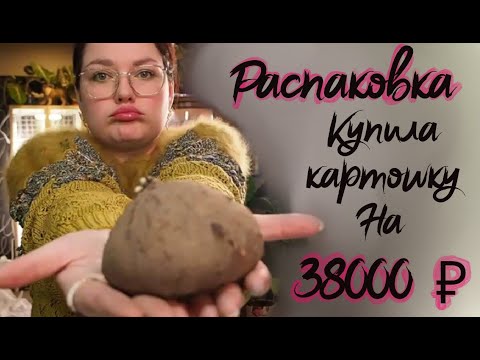 Видео: Распаковка растений из Тайланда . Стефания  картошка , антуриум , монстера. Совместная закупка