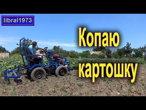 Видео: Уборка картофеля минитрактором. Собираем картошку