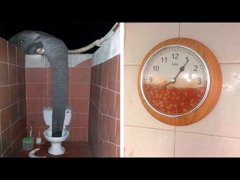 Видео: Как такое могло случиться?!