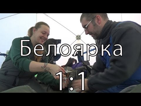 Видео: Белоярка 1:1. Закорм. 1000 подписчиков.