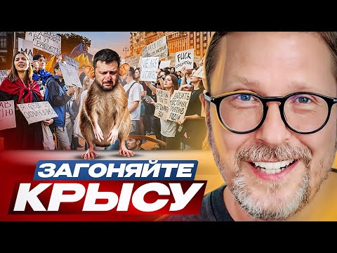 Видео: Загоняйте крысу