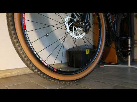 Видео: MAXXIS RECON RACE 2025 29/ 2.25 + ОБОДА DT SWISS 533D 29