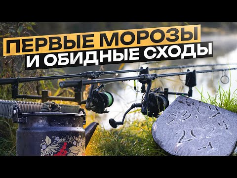 Видео: АВАНТЮРНАЯ РЫБАЛКА ОСЕНЬЮ В ЗАМОРОЗКИ. Один с ночевкой в шикарной заводи Генезиса