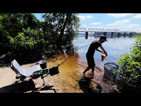 Видео: Рыбалка Фидер Днепр / Кукуруза рулит / Карась Плотва Подлещик / Видеоотчет Июнь 2022