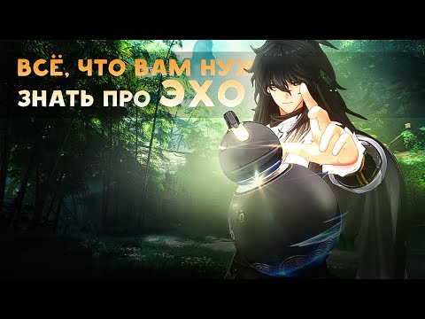 Видео: Все про Эхо и Дата Банк в Wuthering Waves