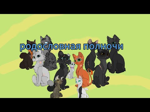 Видео: Родословная полночи (наконец-то)