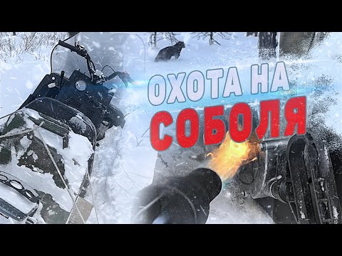 Видео: В отряде новый буран "Лидер". Охота на соболя. Следы стаи волков.