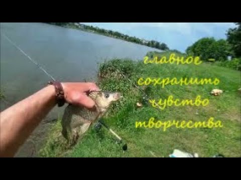 Видео: Ловля на пенопласт  2022 . Снасть в работе .