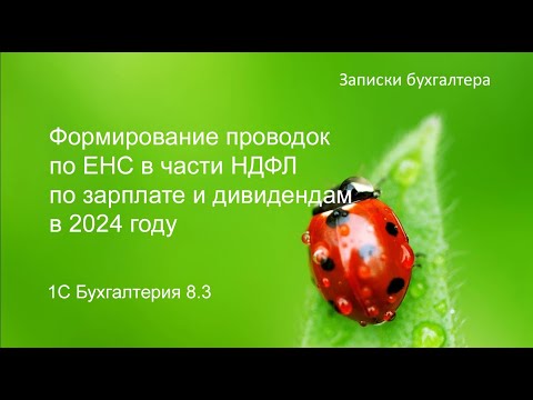 Видео: Формирование проводок по ЕНС в части НДФЛ по зарплате и дивидендам в 2024 году в 1С