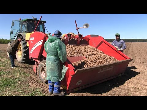 Видео: Посевная кампания в ЗАО "Куликово". 02.05.2023