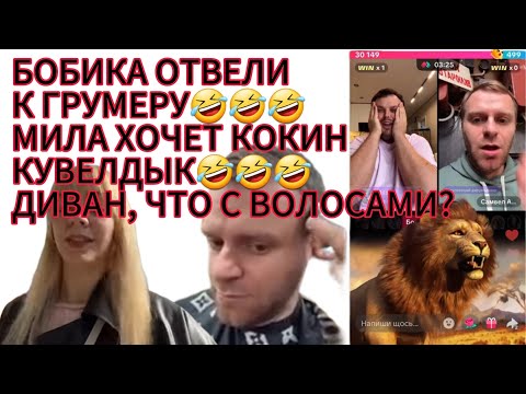 Видео: САМВЕЛ АДАМЯН/БОБИКА ОТВЕЛИ К ГРУМЕРУ ВЫЧЕСАТЬ КОЛТУНЫ😂МИЛА ХОЧЕТ КОКИН КУВЕЛДЫК#самвеладамян