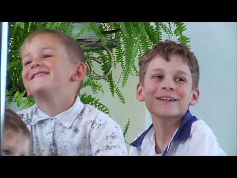 Видео: Как вести себя с собакой (ДИ)