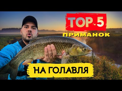 Видео: 🔥ТОП 5 ПРИМАНОК на ГОЛАВЛЯ 2024. С ними ТЫ 💯% ПОЙМАЕШЬ 🤫. Ловля голавля на спиннинг