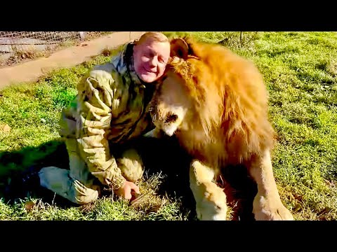 Видео: После того как Олег Зубков РАСЧЕСАЛ ГРИВУ Чуку, лев пошел и отбил львицу у белого льва!