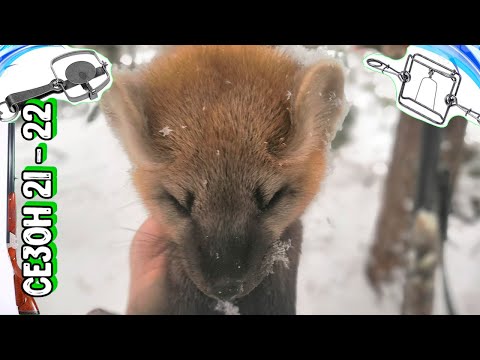 Видео: Рекордное Нашествие.