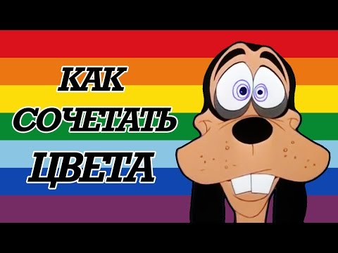 Видео: Как сочетать цвета. Основы цветовой теории.