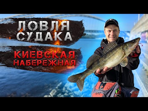 Видео: ✅ Ловля судака на киевской НАБЕРЕЖНОЙ! ✅