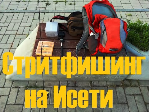 Видео: СТРИТФИШИНГ на ИСЕТИ. DAYO Black Dragon против язей.