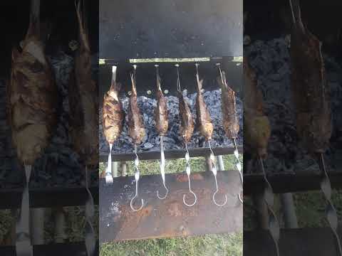 Видео: карась на мангалі #shorts