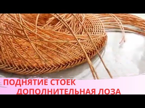 Видео: КАК ПОДНЯТЬ СТОЙКИ / ДОПОЛНИТЕЛЬНАЯ ГОРИЗОНТАЛЬНАЯ ЛОЗА / БЕСКАРКАСНОЕ ПЛЕТЕНИЕ