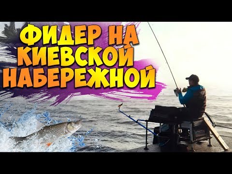 Видео: Рыбалка на КИЕВСКОЙ НАБЕРЕЖНОЙ! Ловля плотвы на ФИДЕР осенью! Тактический фидер на Днепре!