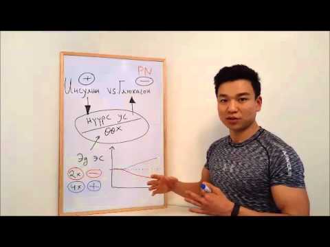 Видео: Инсулин vs. Глюкагон