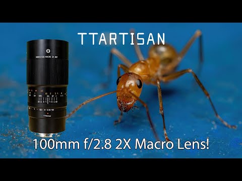 Видео: Обзор макрообъектива TTArtisan 100mm f/2.8 2x!