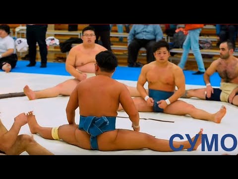 Видео: Сумо. Познавательный фильм