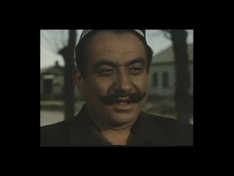 Видео: 1961  Фильм Птичка невеличка