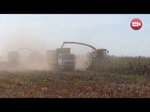 Видео: В Слонимский район пришло одно из передовых хозяйств республики - ОАО "Ружаны-Агро": чем удивит?