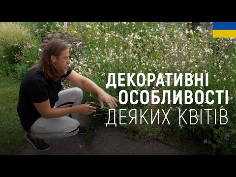Видео: ЛАНДШАФТНИЙ ДИЗАЙН | ОСОБЛИВОСТІ КВІТІВ У САДУ