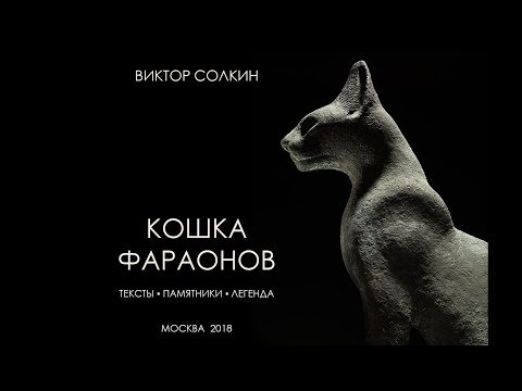 Видео: Кошка фараонов. Лекция Виктора Солкина