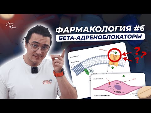 Видео: Фармакология №6  Бета-адреноблокаторы