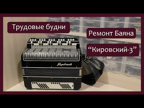 Видео: Трудовые будни / Ремонт Баяна "Кировский 3"