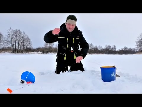 Видео: В ШОКЕ ОТ ТАКОГО КЛЕВА. ЭТО ЖОР ЩУКИ. Давно столько щуки не ловил. Рыбалка на жерлицы в феврале 2023