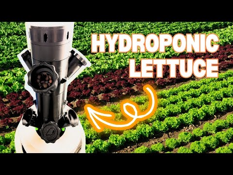 Видео: Выращивание салата в гидропонной башне, напечатанной на 3D-принтере  Vyrashchivaniye salata v gidrop