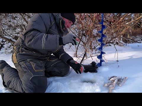 Видео: НАШЁЛ КУЧУ РЫБЫ под КУСТОМ в РУЧЬЕ и ПОШЛА ЖАРА | УДОЧКУ ГНЁТ в ДУГУ от ЭТИХ ПОКЛЁВОК