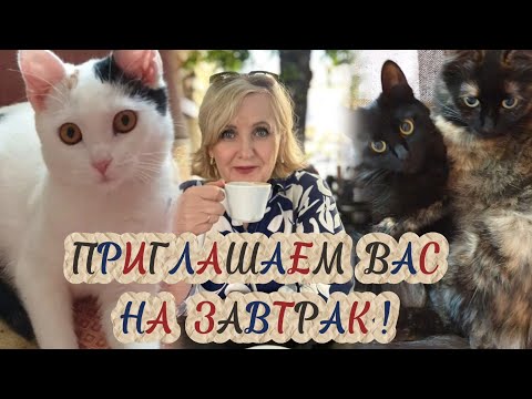 Видео: Полезный завтрак и чашечка☕️ Кото-Шоу только для ВАС 🐈 #яусебодна #домашнийвлог  #моикотики