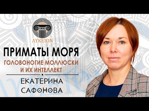 Видео: Головоногие моллюски и их интеллект / Екатерина Сафонова, доцент АмГПГУ