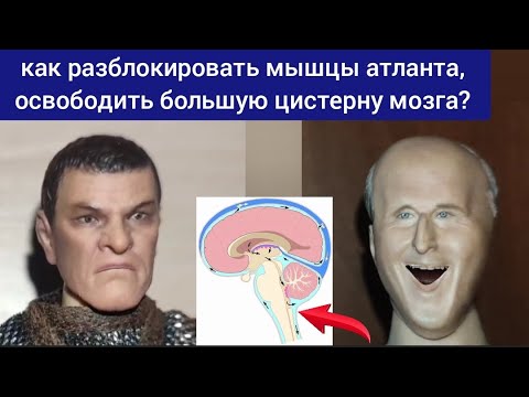 Видео: Шея и мозг: мышцы атланта зажимают большую цистерну мозга. Методы декомпрессии