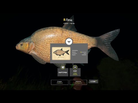 Видео: !ПРОВЕРКА ЛЕЩА на ОСТРОГЕ!