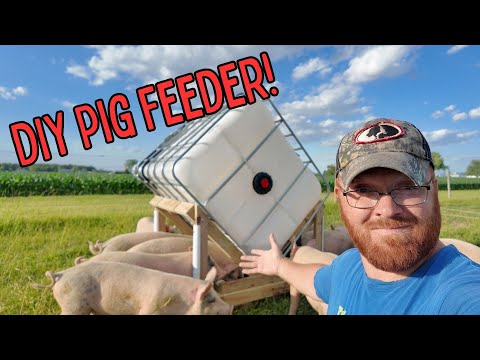 Видео: Простая самодельная кормушка для свиней из контейнера IBC!