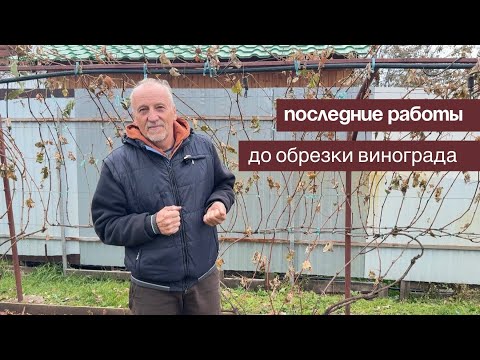 Видео: Последние работы на винограднике перед обрезкой 