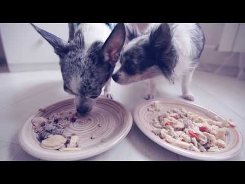 Видео: ГОТОВКА ЧЕЛЛЕНДЖ: НАТУРАЛКА ДЛЯ СОБАКИ, РЕЦЕПТ, ВЫБОР СОБАК