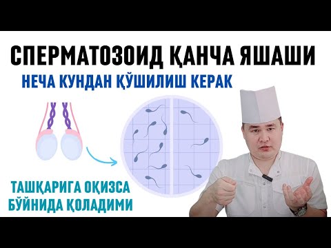 Видео: ЭРКАК УРУҒИ ЯШОВЧАНЛИГИ, БОЛА ҚИЛИШГА НЕЧА КУНДАН АЛОҚА ҚИЛИШИ КЕРАК, ТАШҚАРИГА ОҚИЗСА БОЛА БЎЛАЛИМИ