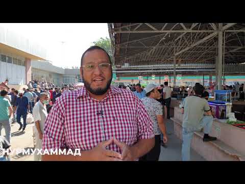 Видео: Тошкент қуш бозори: 15.05.21птичий рынок Ташкент bird market of Tashkent