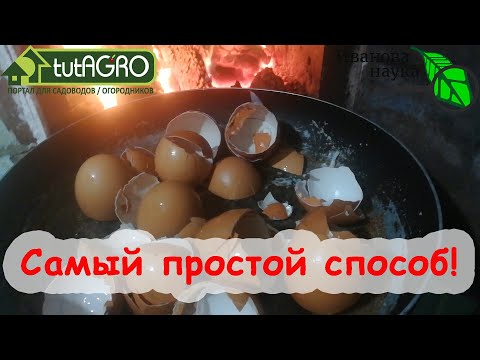 Видео: ОГНЕННОЕ УДОБРЕНИЕ из яичной скорлупы! Быстродействующее удобрение без кофемолки и уксуса.