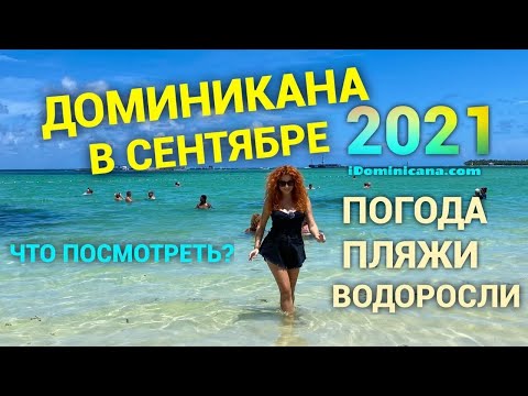 Видео: Доминикана в сентябре 2021: пляжи отелей Пунта-Кана, водоросли, экскурсии - iDominicana.com