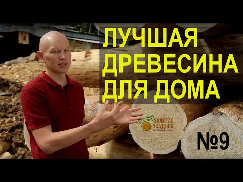Видео: Выбор древесины для строительства деревянных домов. Золотая усадьба. Выпуск №9