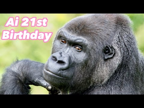 Видео: 🎂 21-й день рождения Аи🎂 коллекция знаменитых сцен｜Shabani Group